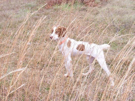 2009 Training Day.