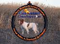 Bama Birddog Club
